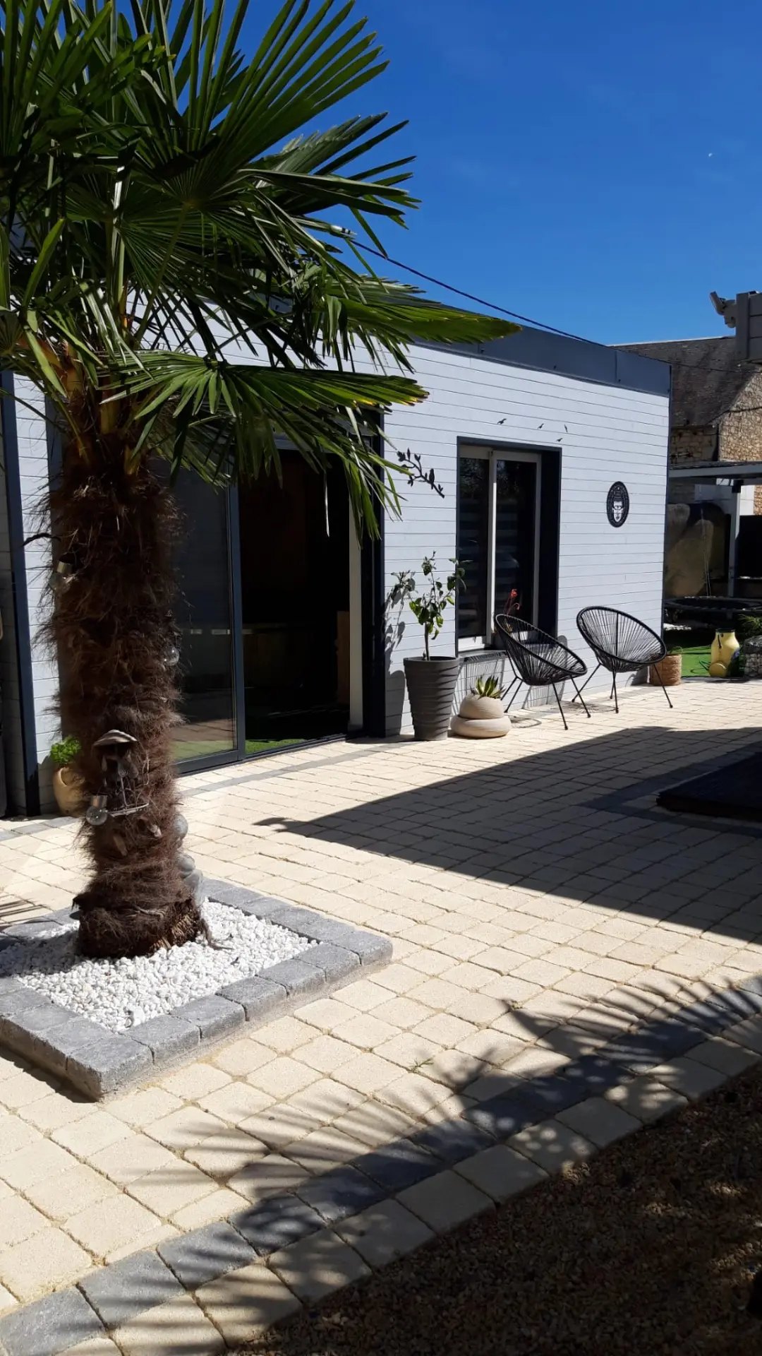 Terrasse du cabinet avec un palmier, des fauteuils et des plantes en pot